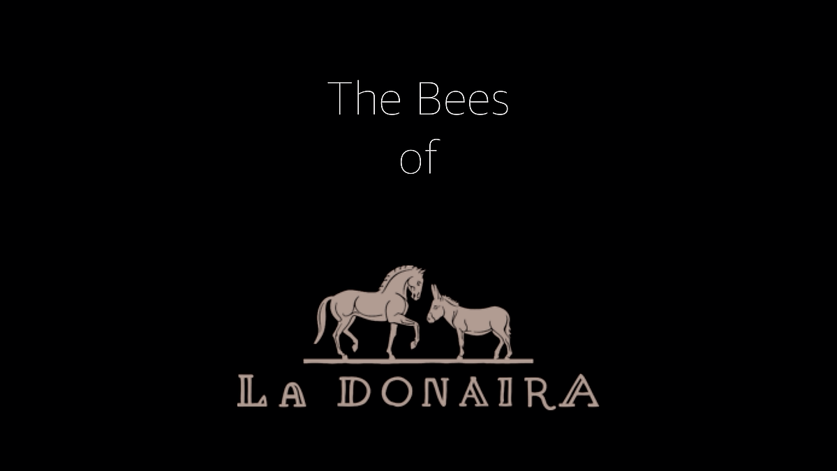 The Bees of La Donaira